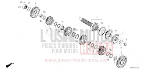 BOITE DE VITESSES (ARBRE INTERMEDIAIRE) (NT1100D) NT1100DP de 2023